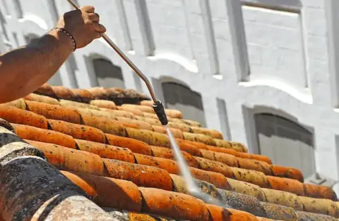Nettoyage de toitures - Haute-Marne